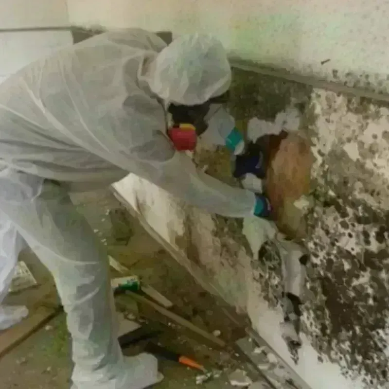 Mold Remediation and Removal in Montauk, NY